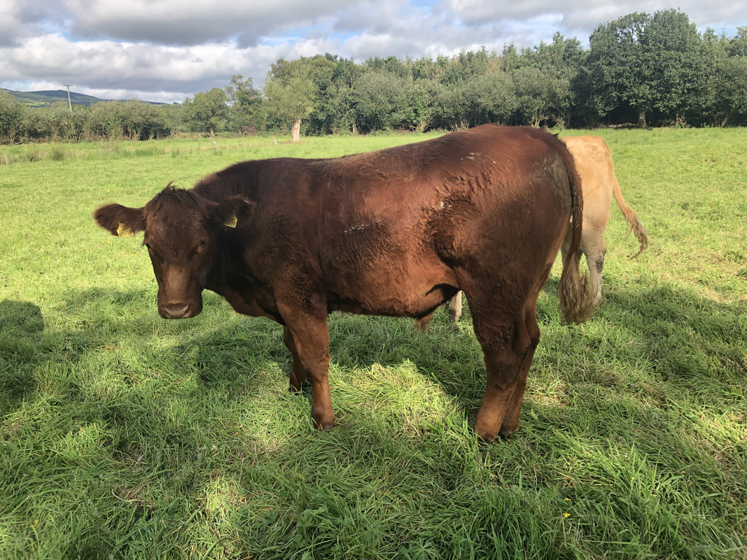 0E6A6ED1-FFD2-4C64-9726-1A8BE78A33F9