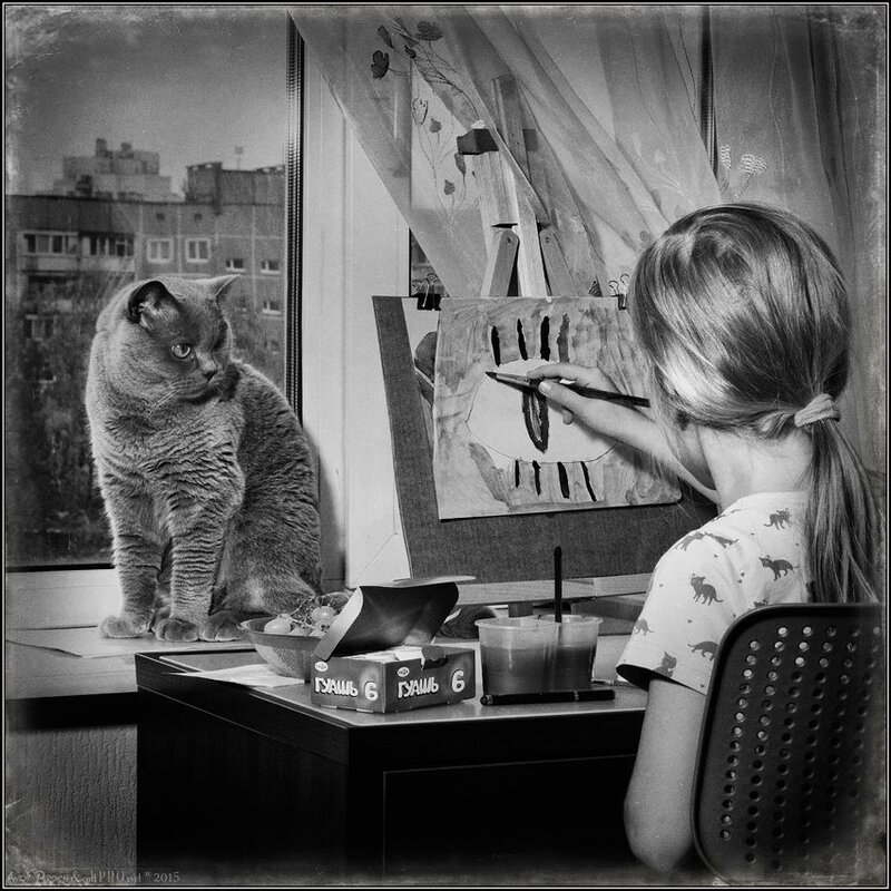 12096616-891726137560145-8665389390562472095-n