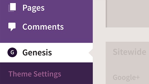 Learning Genesis for WordPress (2020)