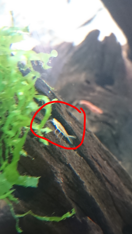 sketch-1565445746820