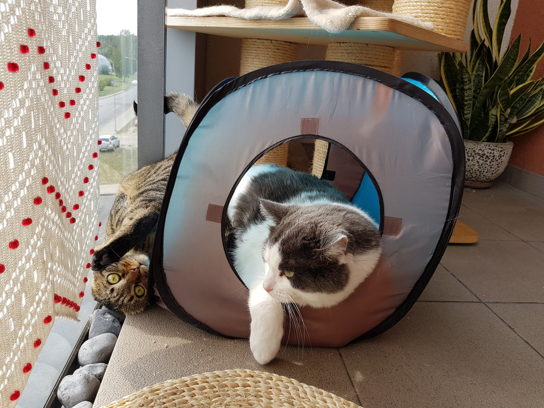 20190908-144154.jpg