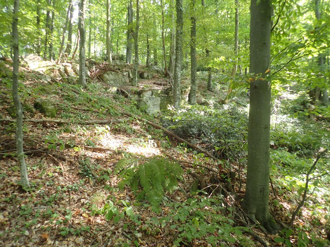 RUTIZAM SRBIJA - DragoševacJerinin grad (jagodinski) (10)