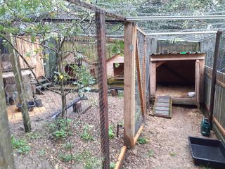 Fences-056jpg