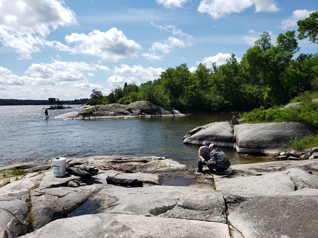 [Image: 20190623-114655.jpg]