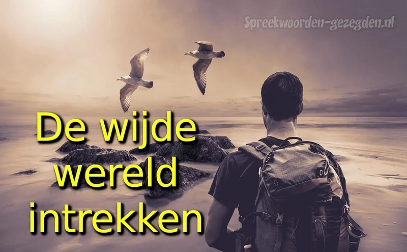 De-wijde-wereld-intrekken-min.webp
