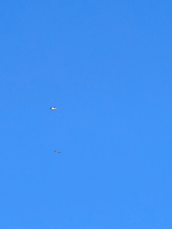 IMG 20260923 134213