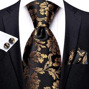 Hi-Tie Mens Plaid Ties Classic Paisley Necktie