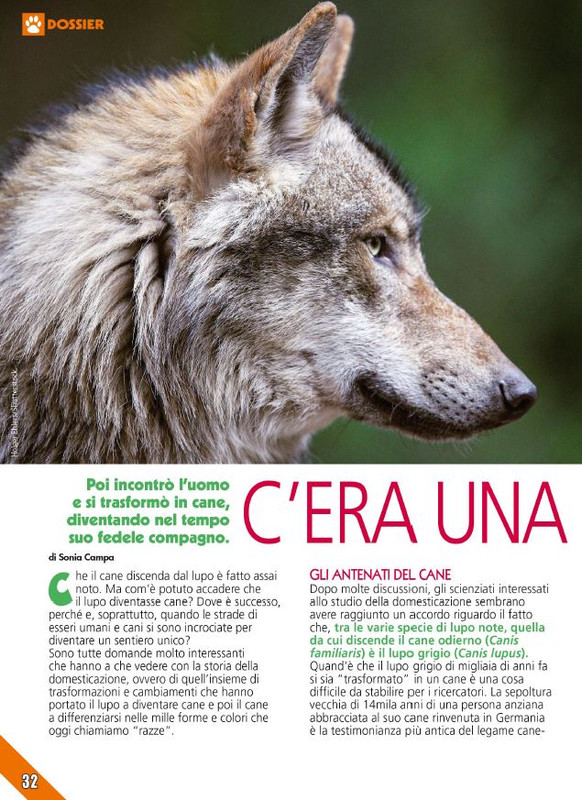 Foc Wil - Ott 2023 (3)