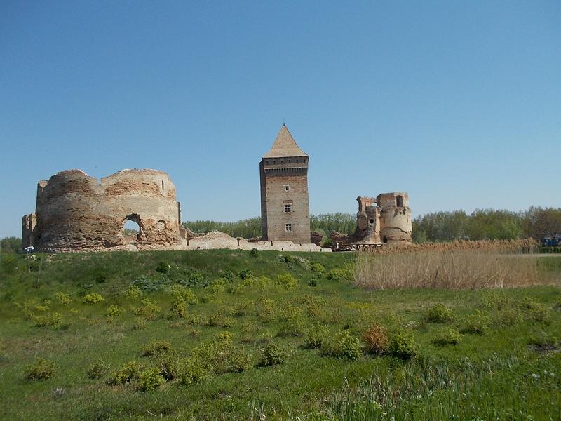 Slika