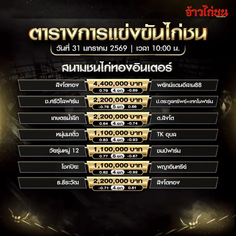 โปรแกรมไก่ชน สนามชนไก่ทองอินเตอร์ วันที่ 31 มกราคม 2569 เวลา 10:00 น. ตารางการแข่งขันและเงินรางวัล