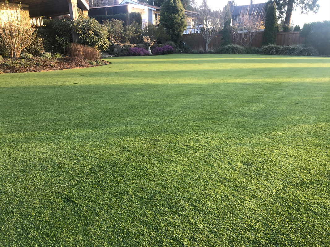 095A095D-53CB-40E6-9BD6-DFF9BFD75F18