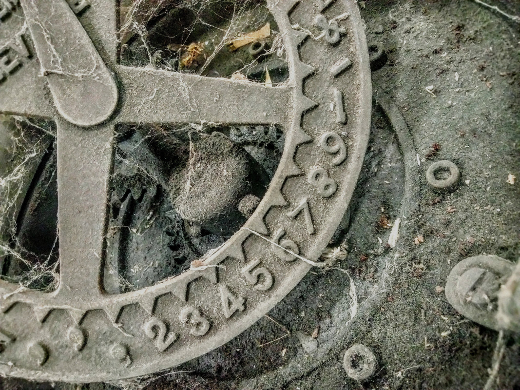 IMG_20220620_145634~3