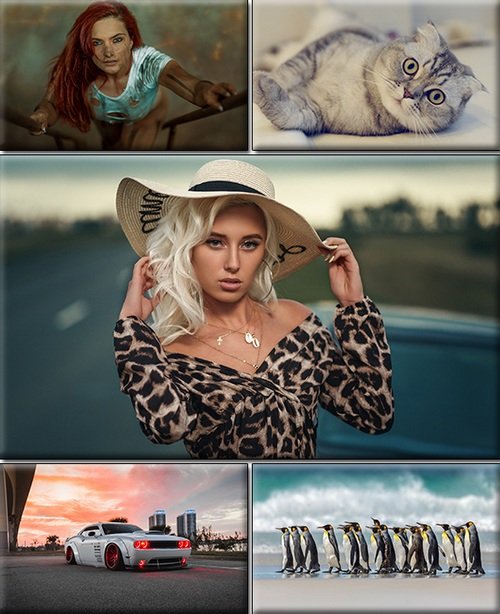 LIFEstyle News MiXture Images Wallpapers Part 1915 WallPapers