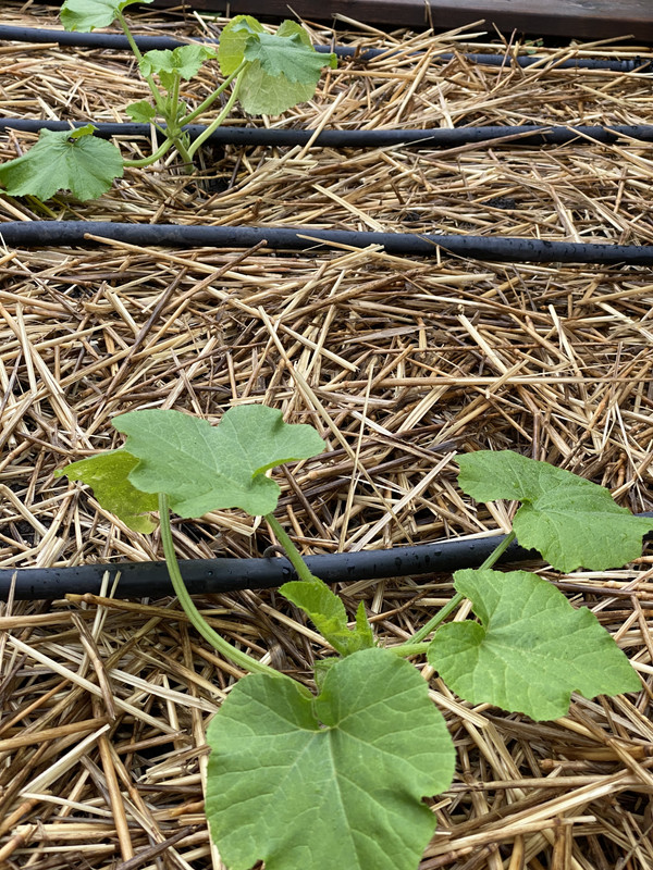 9D4F36B2-376E-45D3-BA2A-0383C221F6AC