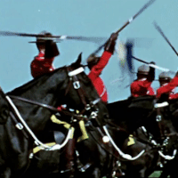 pageantry-av.gif