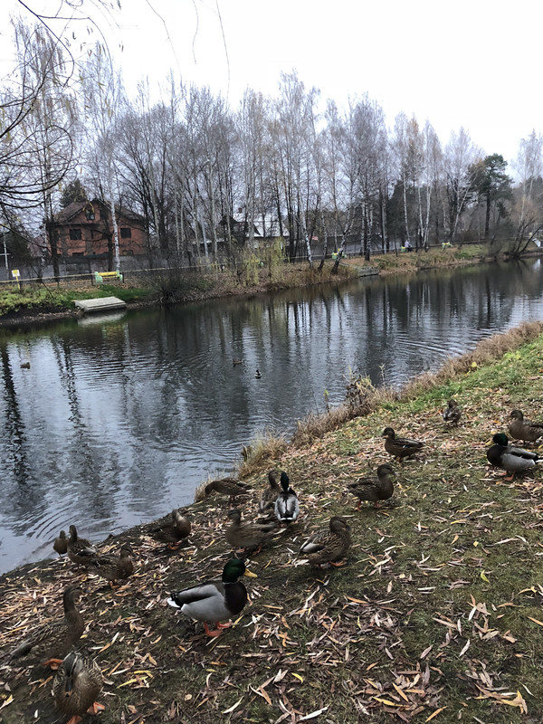 25169A4F-2EB0-49FD-9F32-74C7E7FD02D2