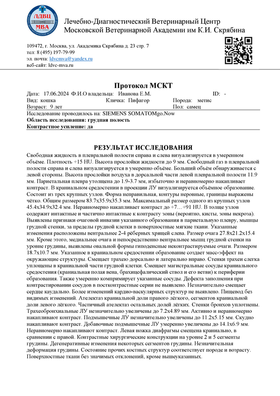 Иванова. Пифагор (1)