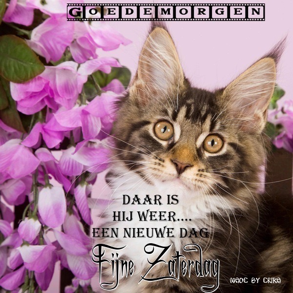 75A4EBBC-987F-4EEC-AD87-606B728A03BC