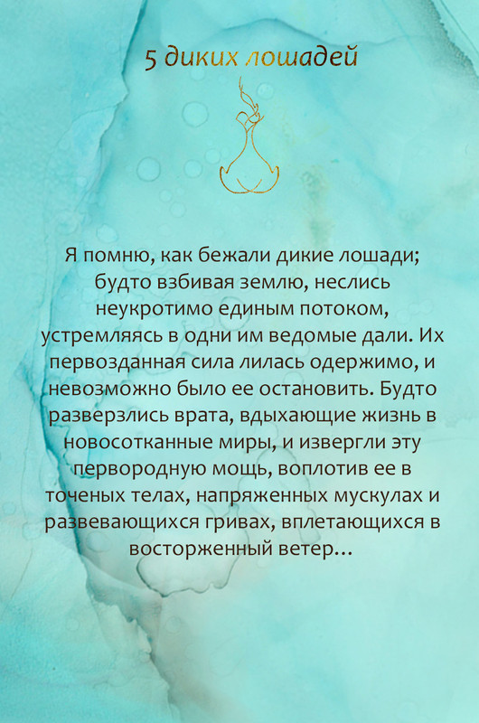 5 диких лошадей