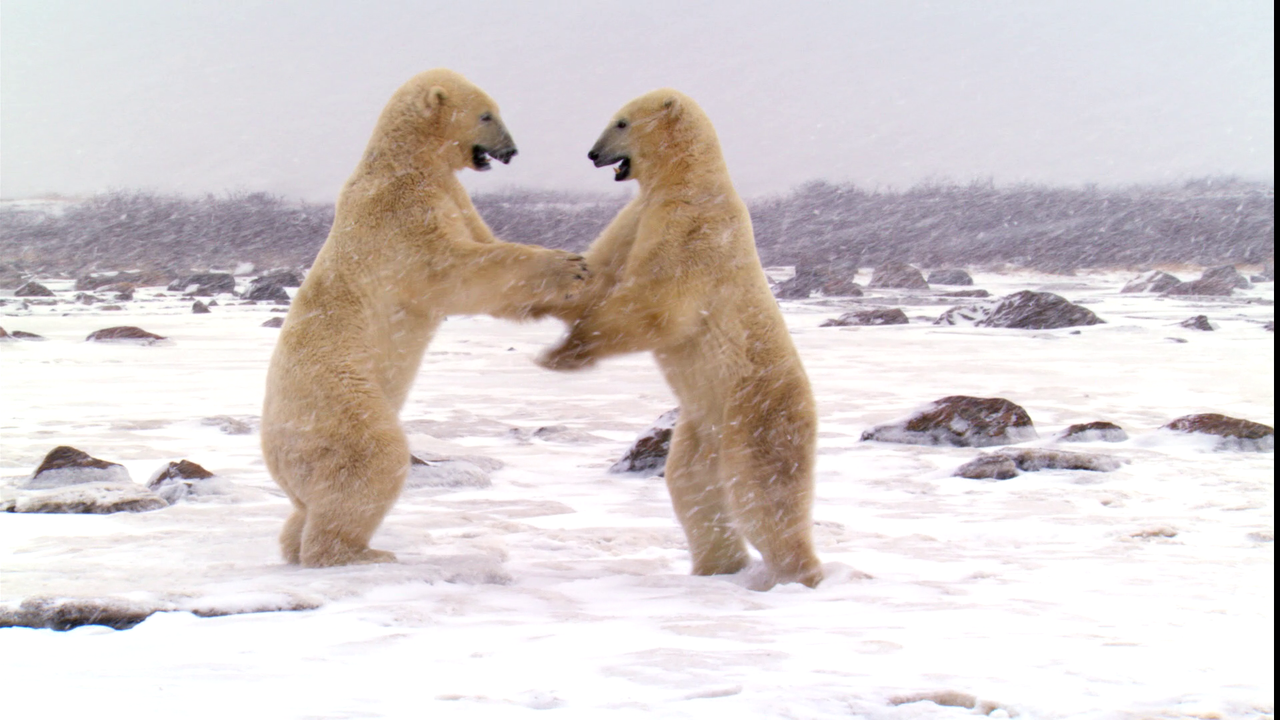 vlcsnap-2023-08-22-18h33m55s658