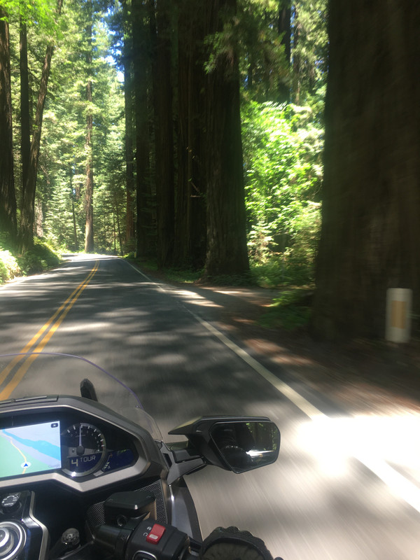 AF1A95E4-2E69-48CE-8325-8657C82C2967