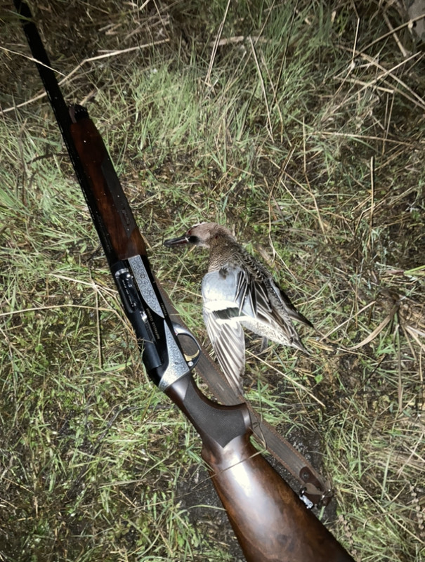 F2B57864-17E9-499E-B3D4-8480C64FAD04