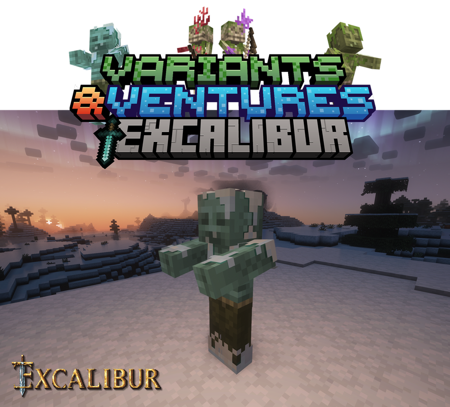 Excalibur Variants&Ventures support