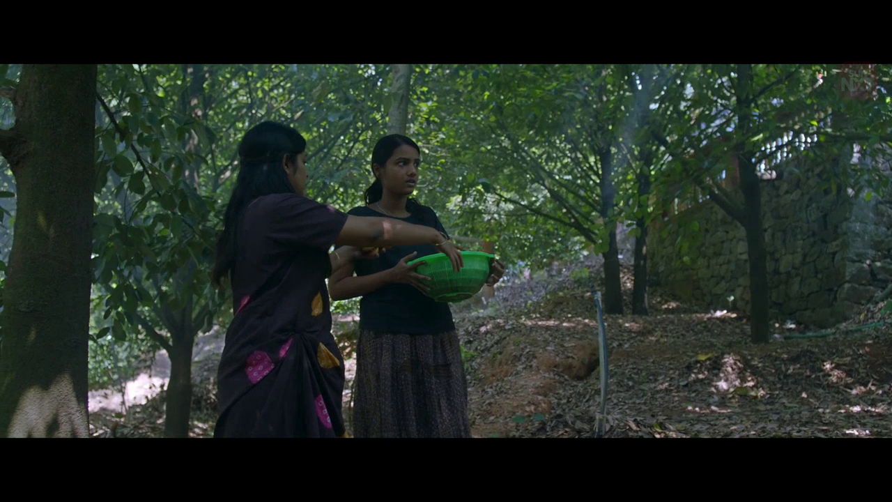 vlcsnap 2026 02 11 15h44m02s548