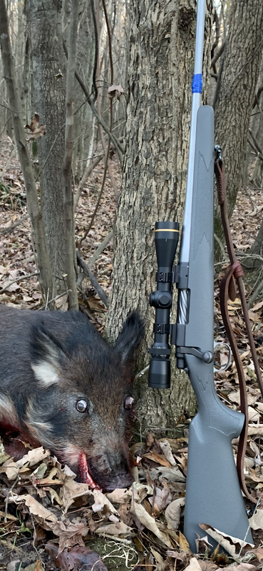 40C1BBB2-3D7C-4359-8419-F751DA2A0A20