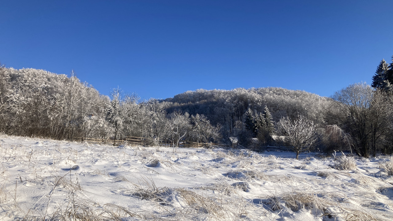 3F62AC53-CDAA-42EC-AA89-376114918A2A