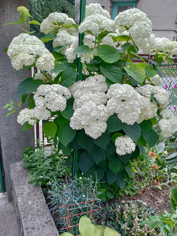 IMG_20250614_093556_HDR