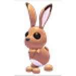 Hare