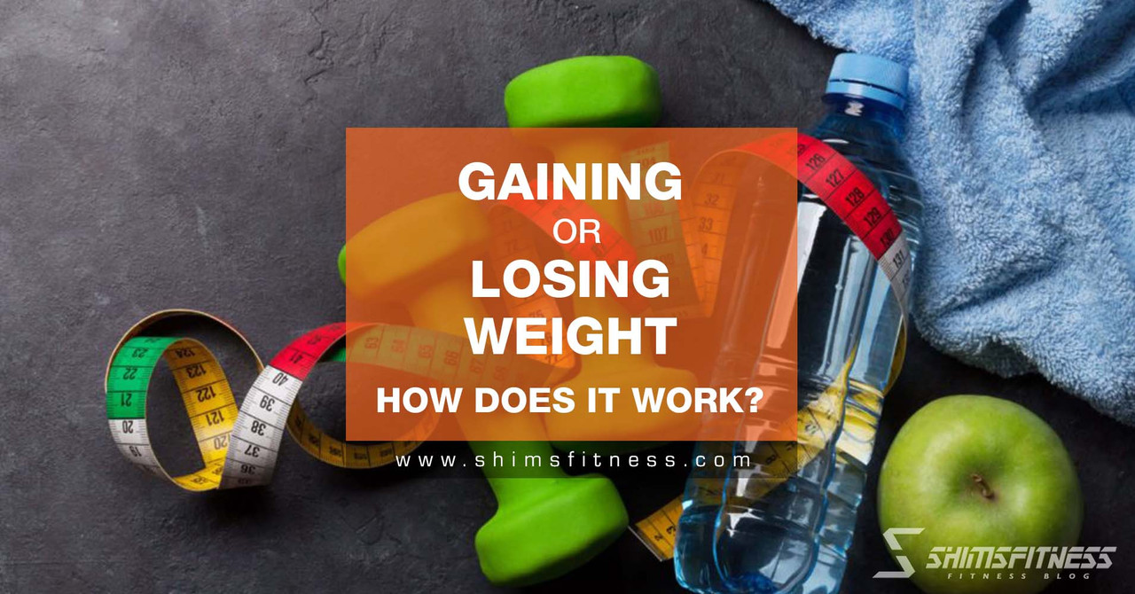 Gaining Or Losing Weight? How Does It Work?