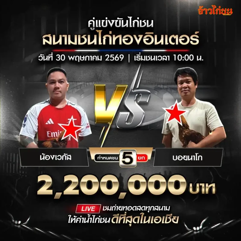 น้องเวกัส vs บอยนาโก สนามชนไก่ทองอินเตอร์ วันที่ 30 พฤษภาคม 2569