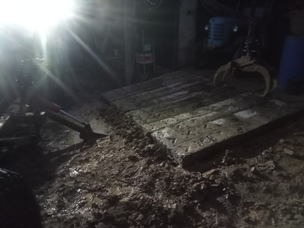 IMG_20251006_185319_058