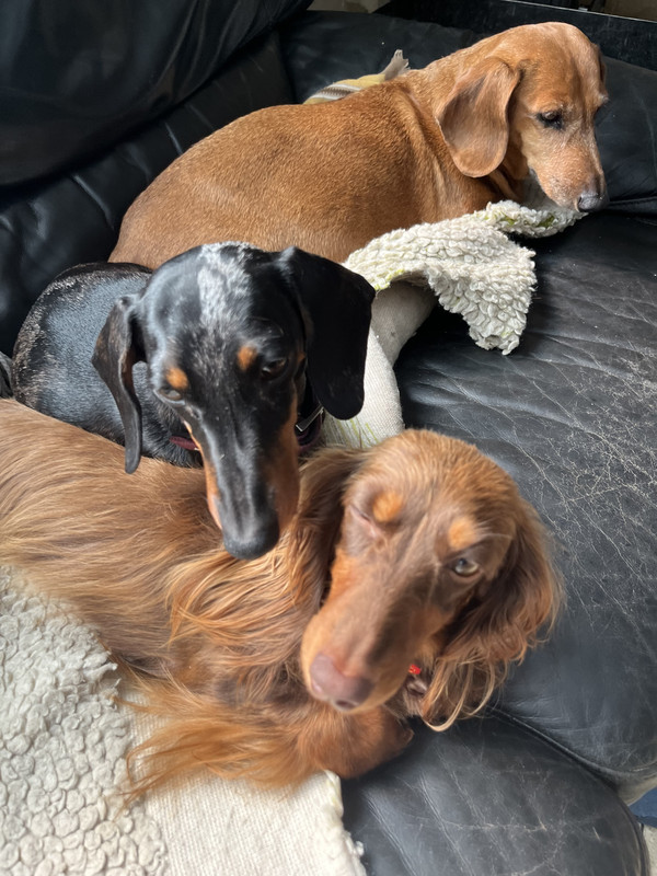 [Image: IMG-6440.jpg]