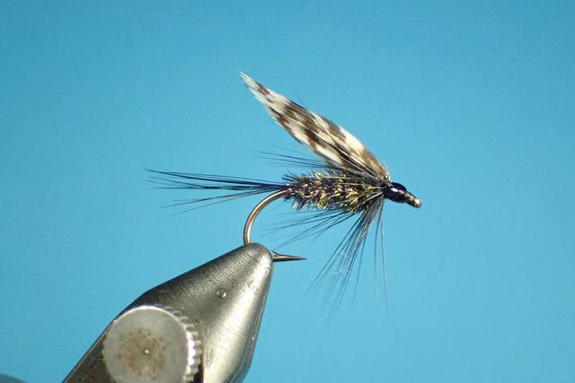 8D298B34-265A-487F-AF33-4D1B4B0A4B9D