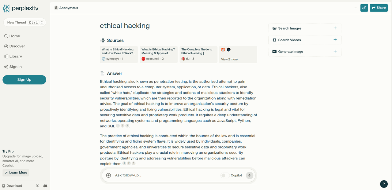 perplexity-AI-esempio-ricerca-ethical-hacking