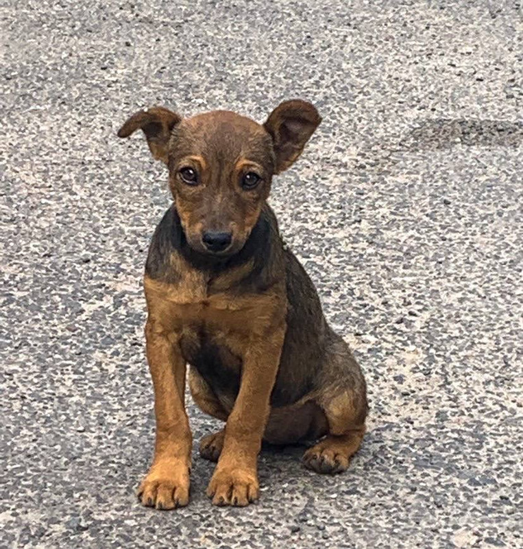 7D5AC785-FFFC-4025-B728-445617AAC7DB