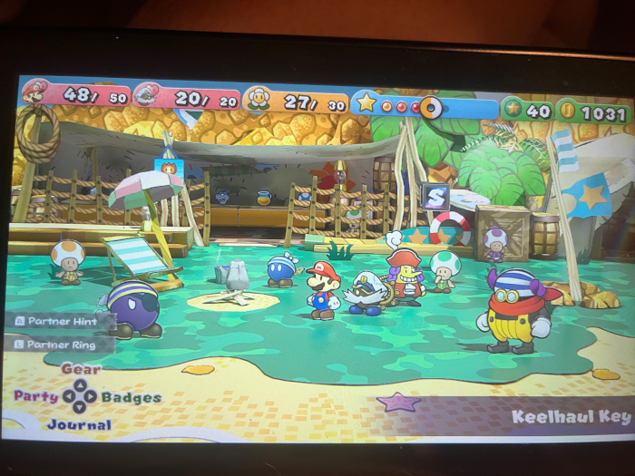 Paper-Mario-TTYD-Pic-one