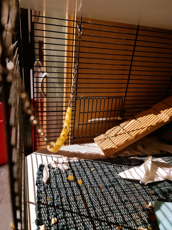 Screenshot-20201209-204432-Gallery.jpg