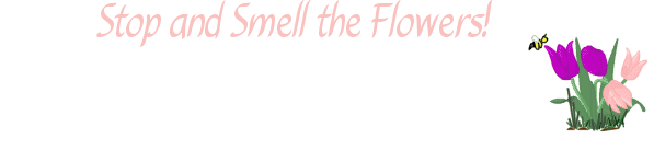 a_Stop_Smell_Flowers