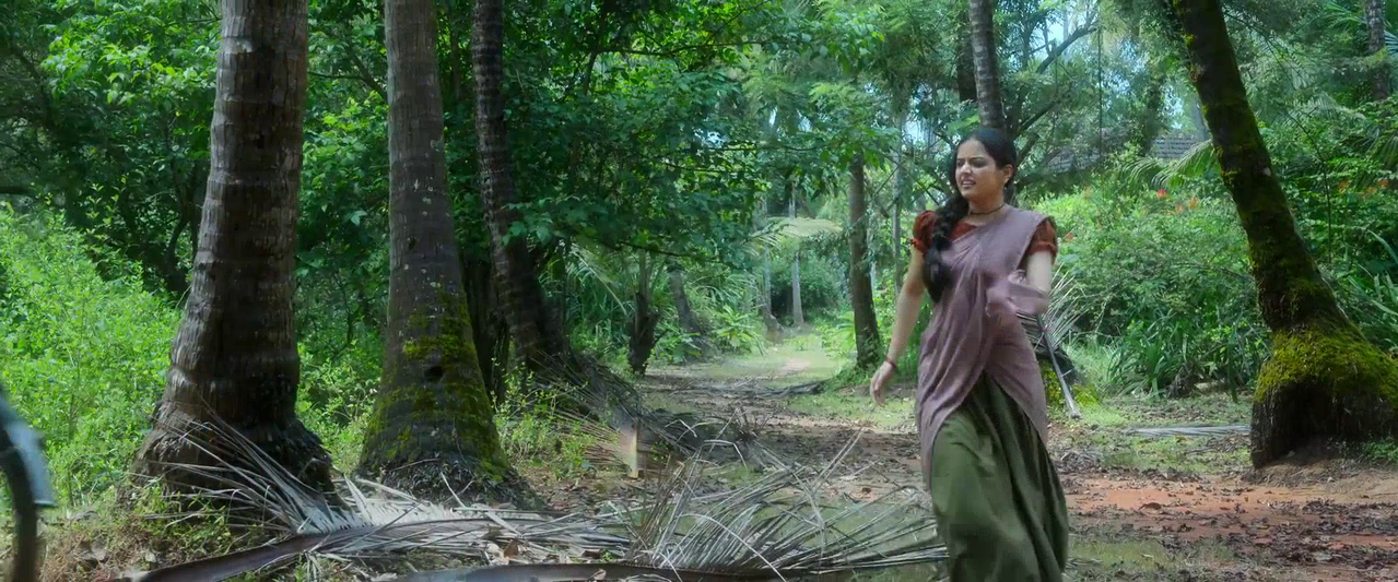 vlcsnap 2026 02 14 09h30m04s152