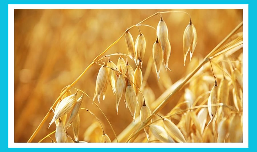 [Изображение: b129c75a244765daa44f15afacdb89a1.jpg]