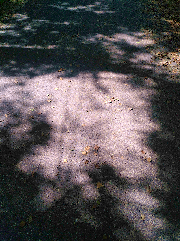 Ombres au sol, entre les deux