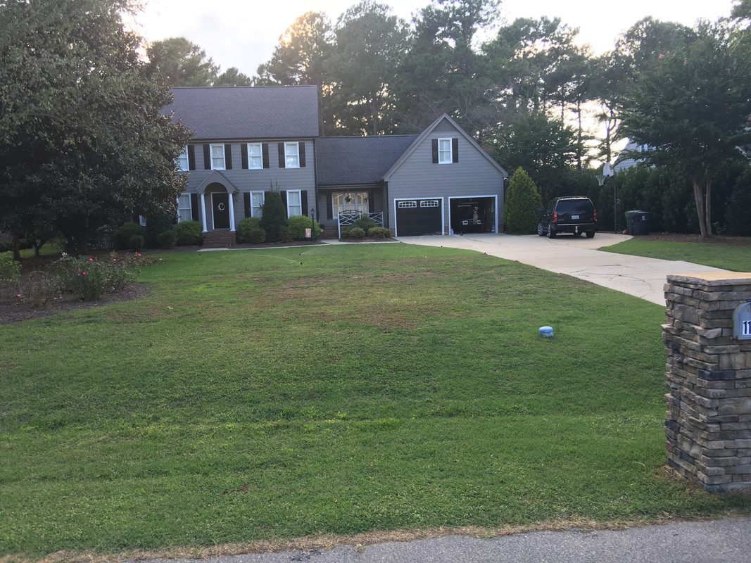 Zcabe Common Bermuda Lawn Journal The Lawn Forum