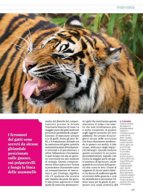 Ga Ma Giu-Lug 2021 (6)