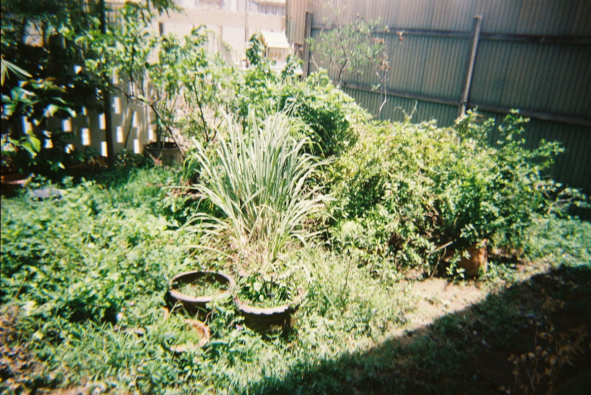 Kodak2-42-resize