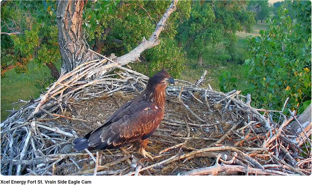 Ekrānuzņēmums 2024-07-03 152317