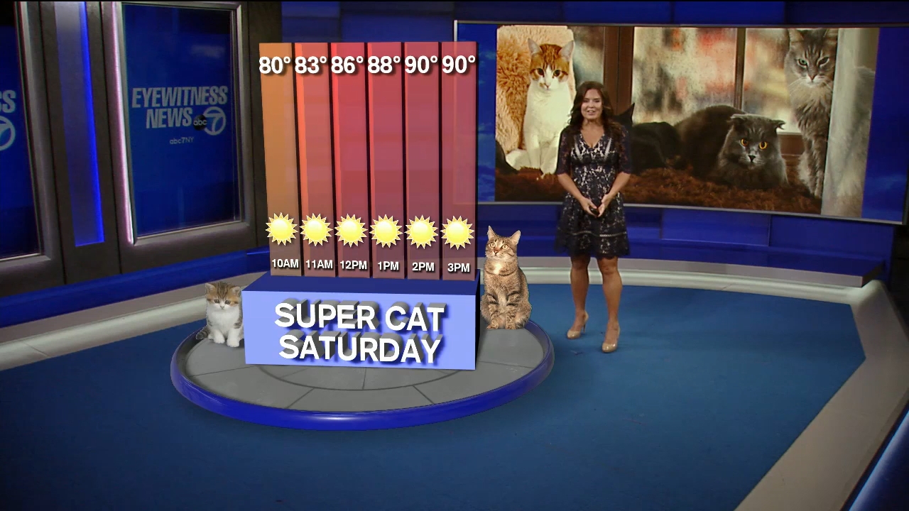 18 July - 11.00.00 - Eyewitness News This Morning..ts_snapshot_00.45.47.995